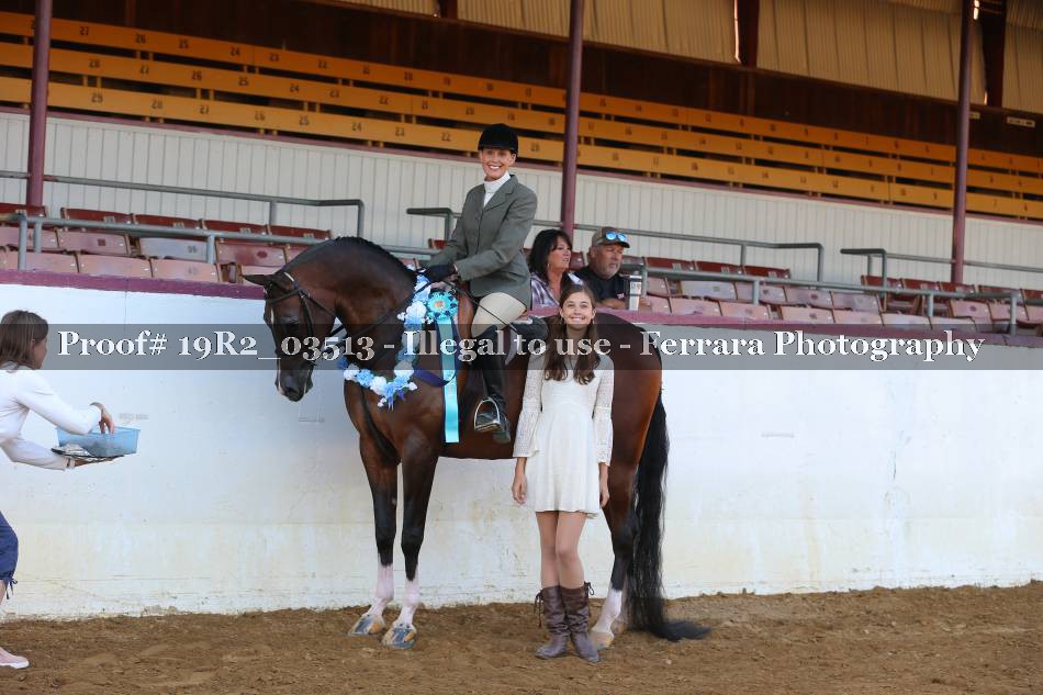 Proof 19R2_03513
