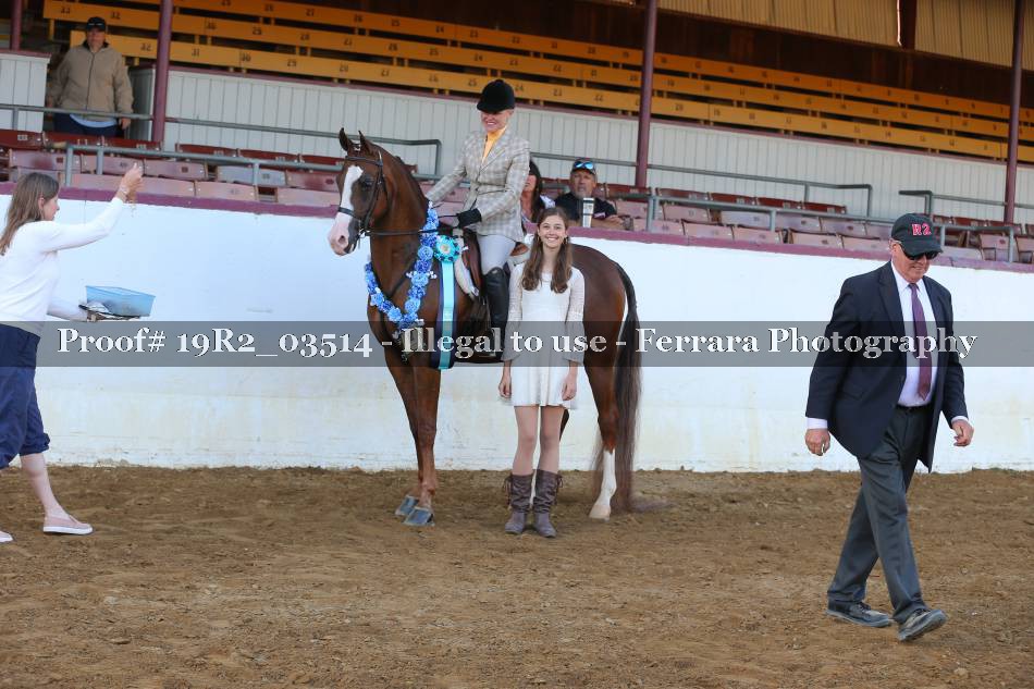 Proof 19R2_03514