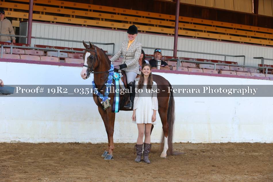 Proof 19R2_03515