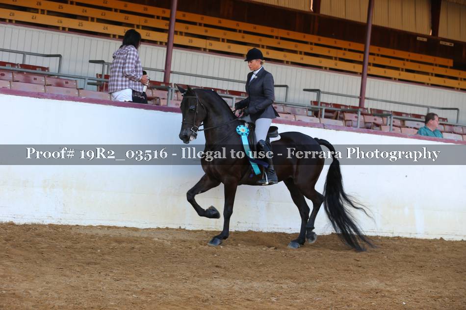 Proof 19R2_03516