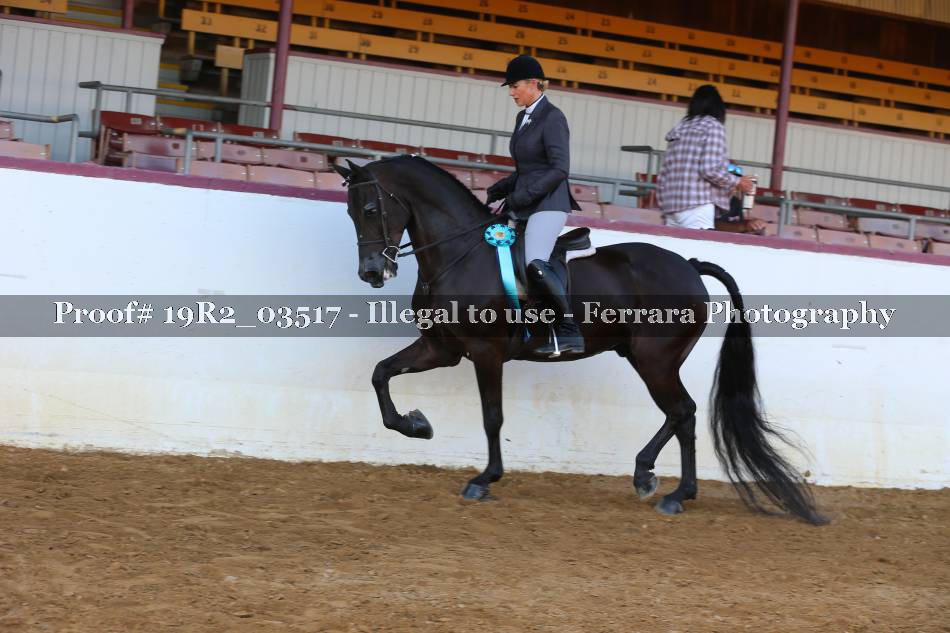 Proof 19R2_03517