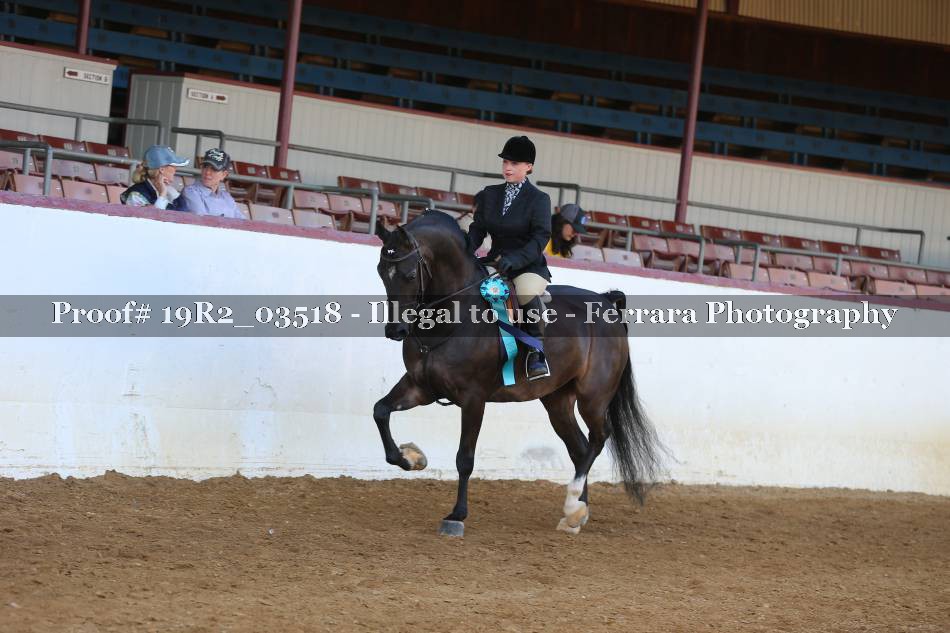 Proof 19R2_03518