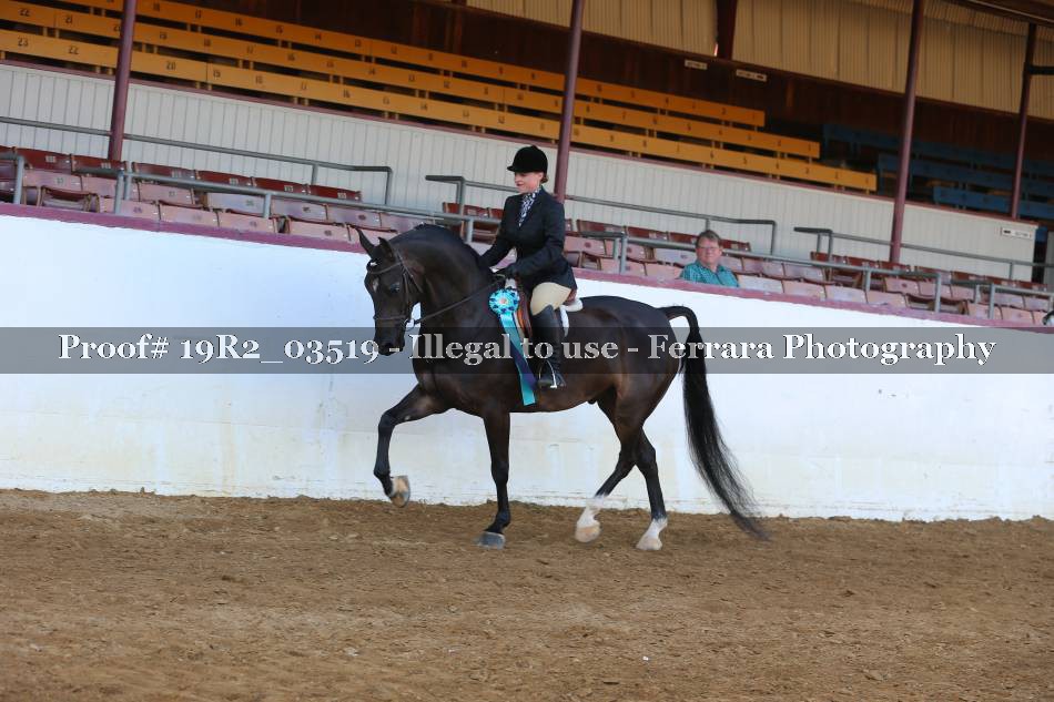 Proof 19R2_03519