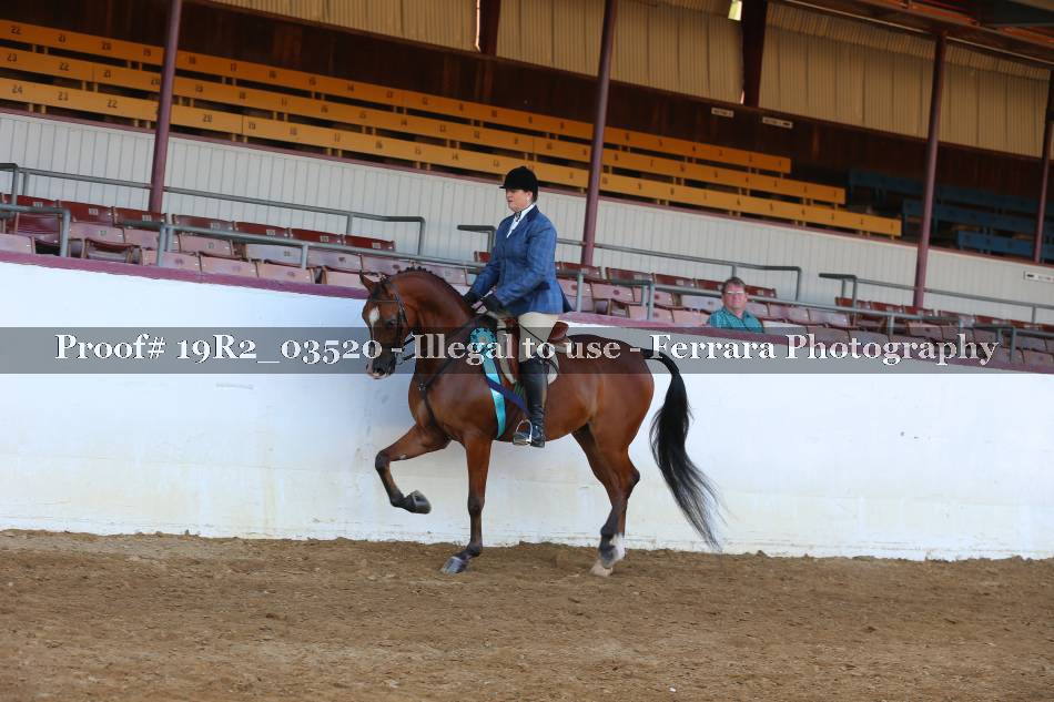 Proof 19R2_03520