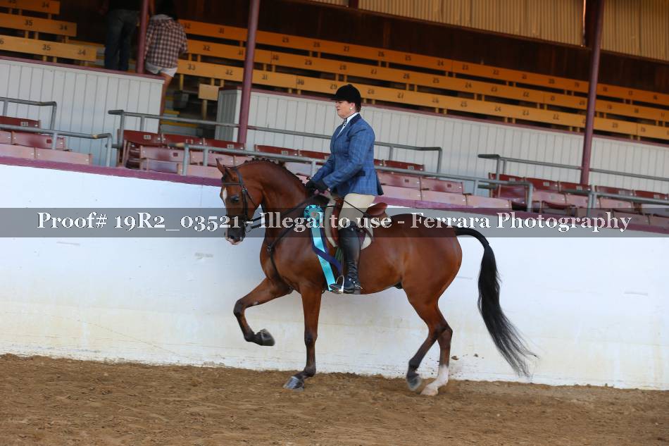 Proof 19R2_03521