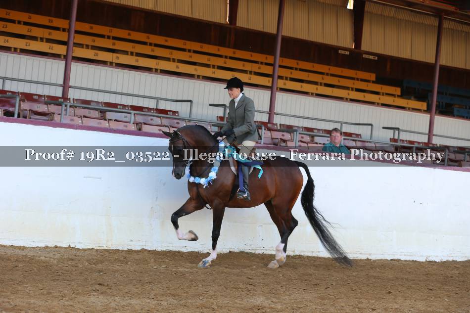 Proof 19R2_03522