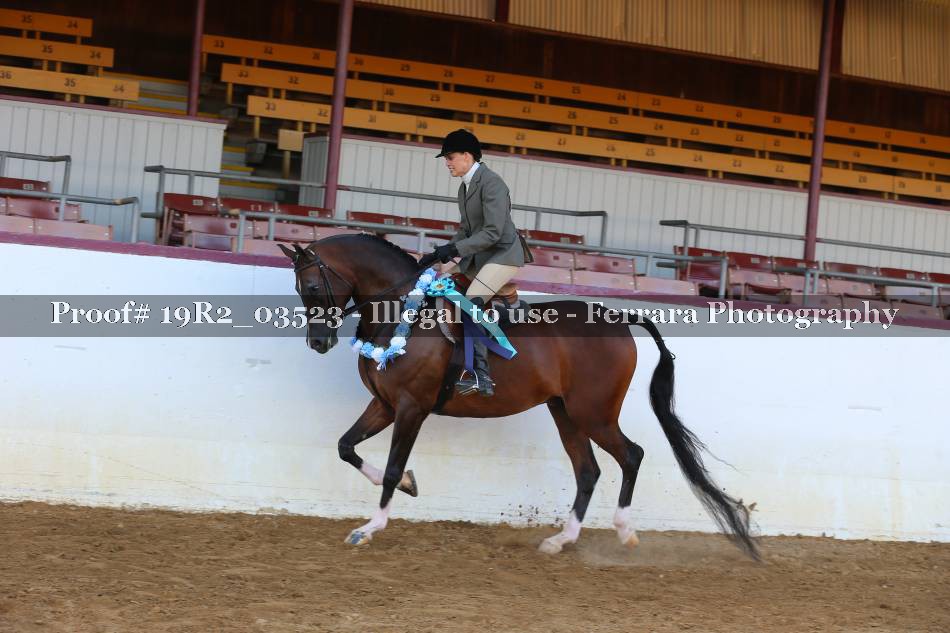Proof 19R2_03523