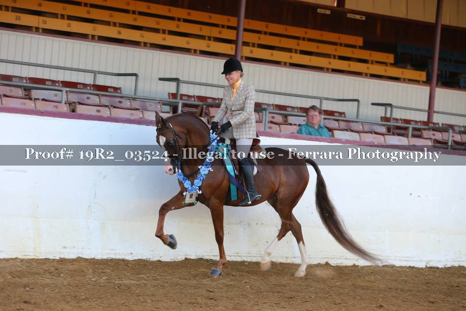 Proof 19R2_03524