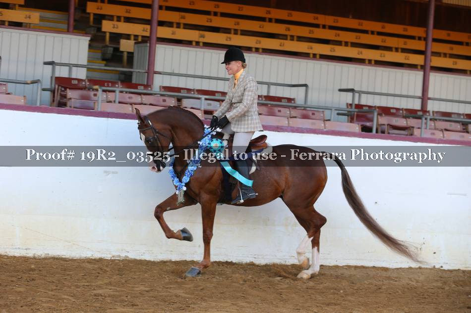 Proof 19R2_03525