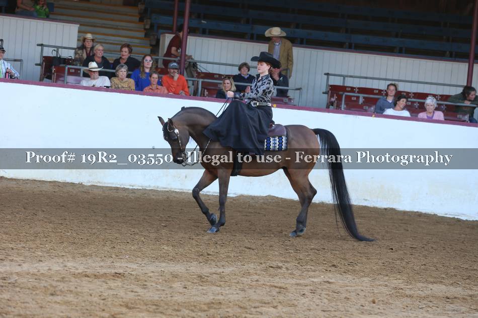 Proof 19R2_03550