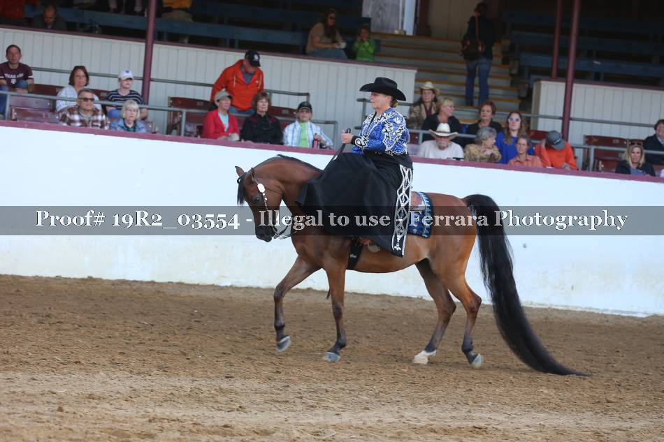 Proof 19R2_03554