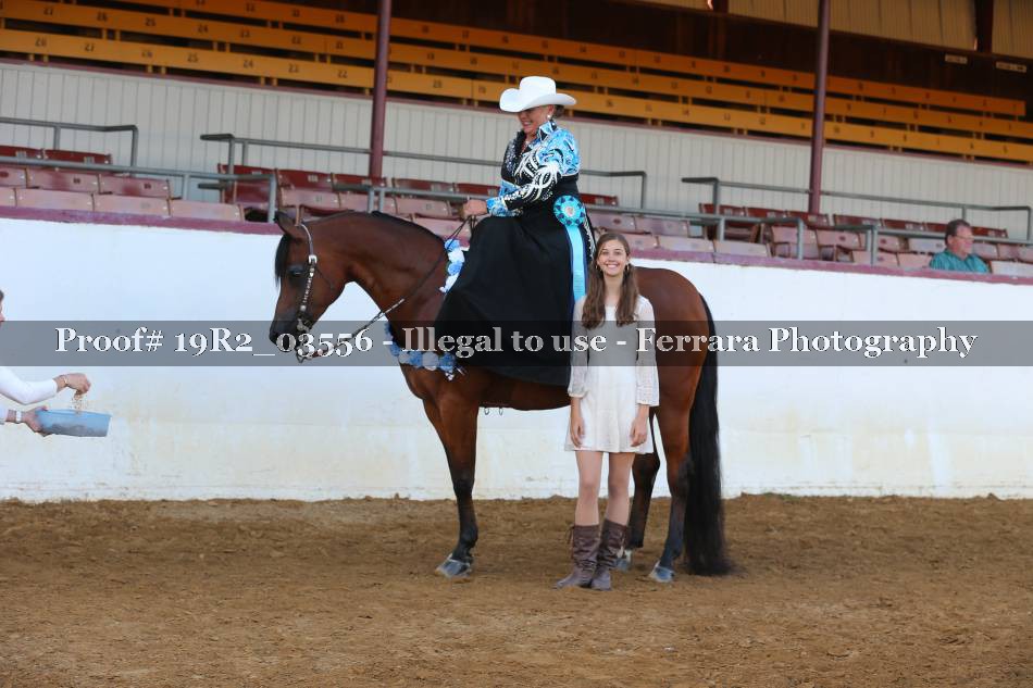 Proof 19R2_03556
