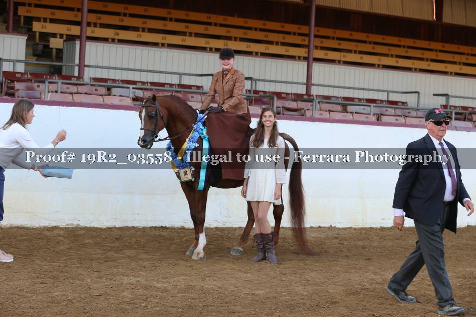 Proof 19R2_03558
