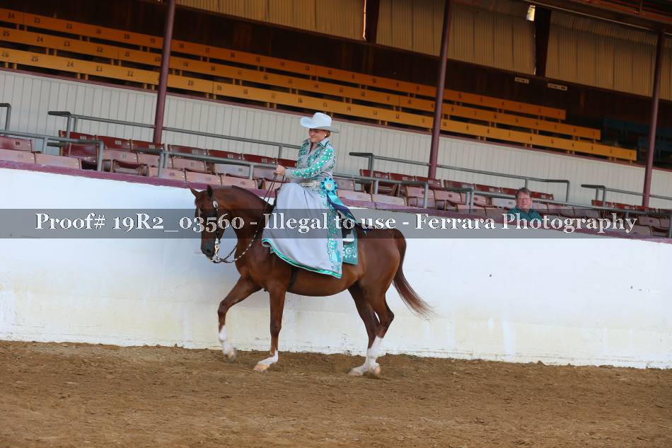 Proof 19R2_03560