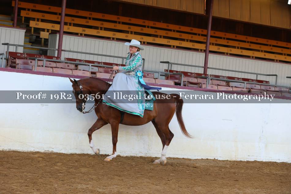 Proof 19R2_03561