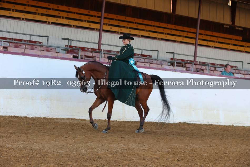 Proof 19R2_03563