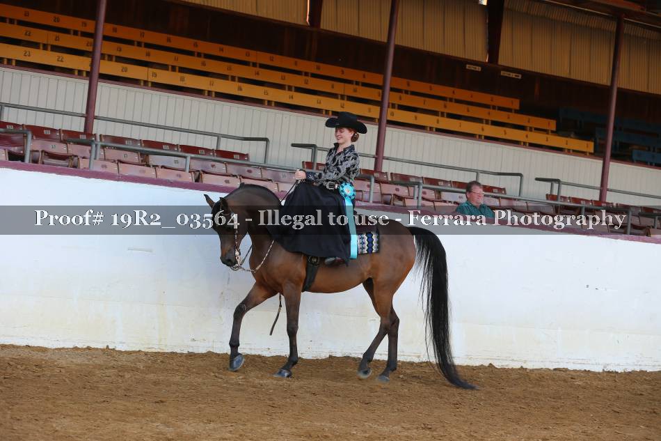 Proof 19R2_03564