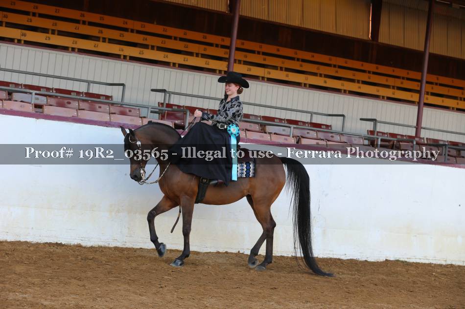 Proof 19R2_03565