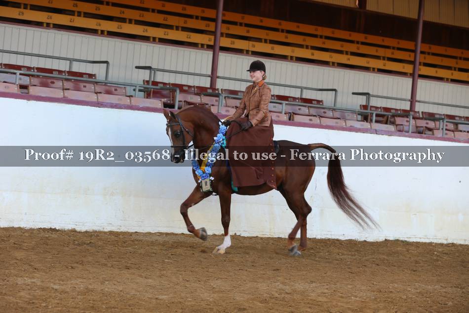 Proof 19R2_03568