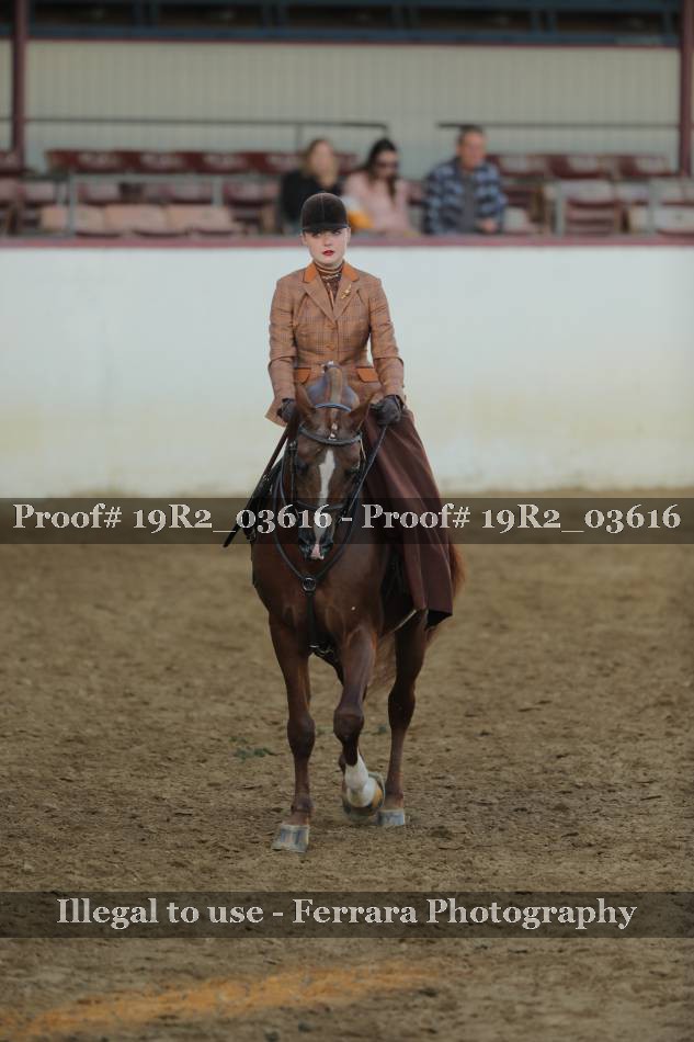 Proof 19R2_03616