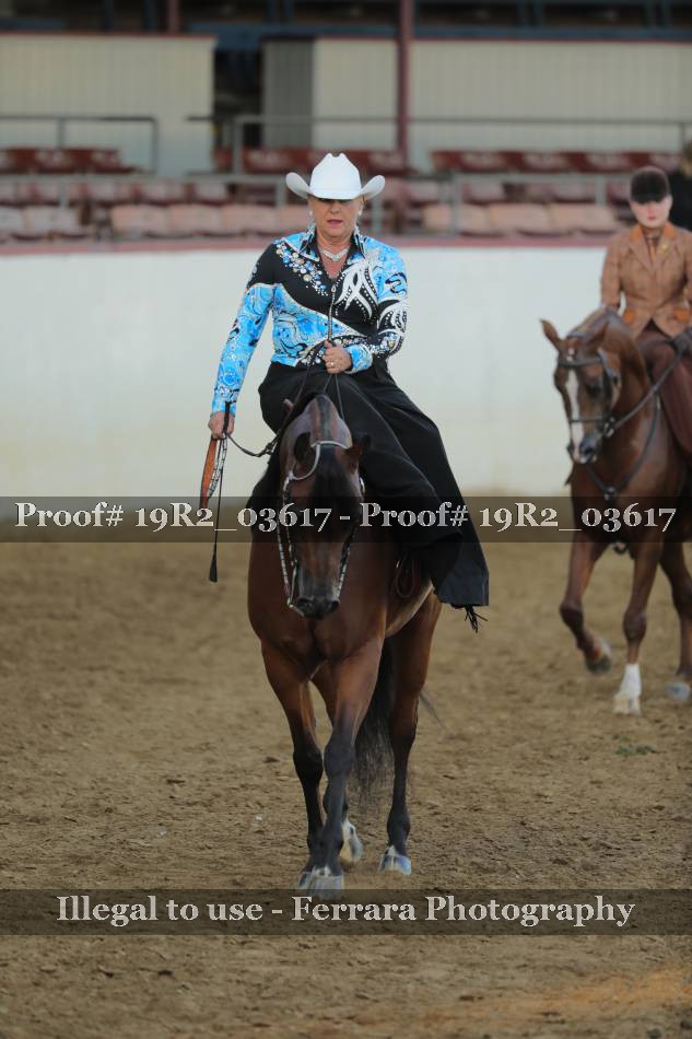 Proof 19R2_03617