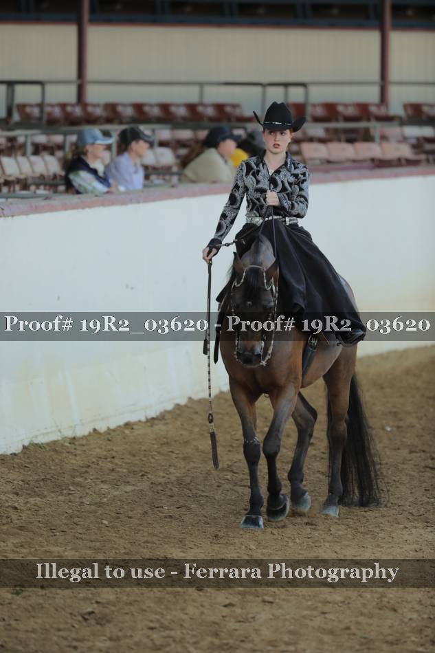 Proof 19R2_03620