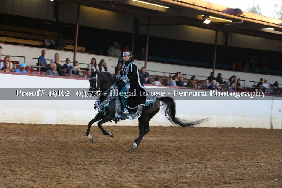 Proof 19R2_03577