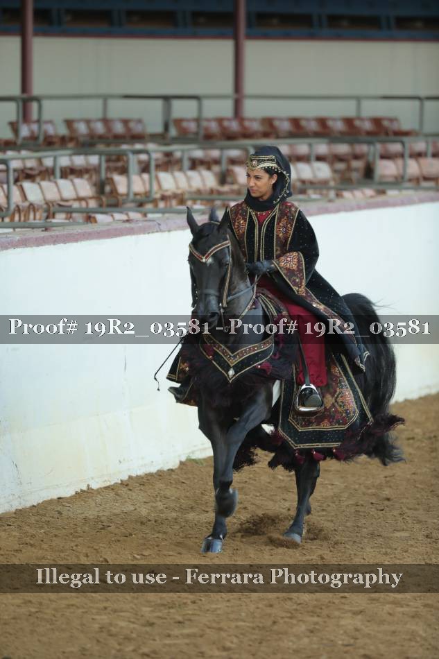 Proof 19R2_03581