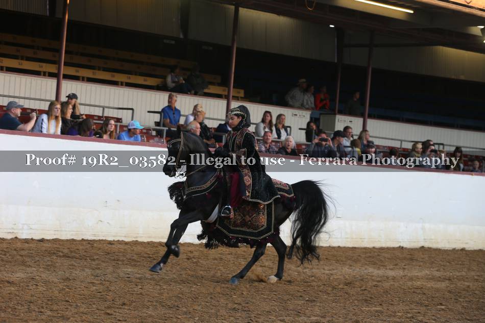 Proof 19R2_03582