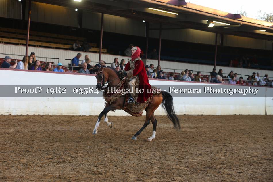 Proof 19R2_03584