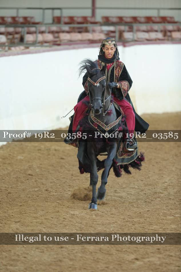 Proof 19R2_03585