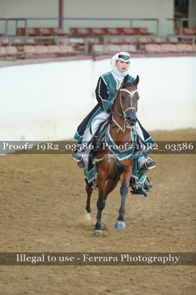 Proof 19R2_03586