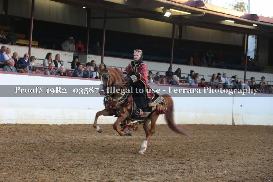 Proof 19R2_03587