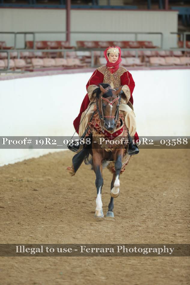 Proof 19R2_03588