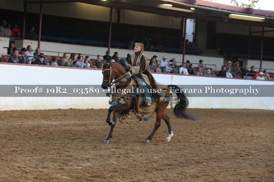 Proof 19R2_03589