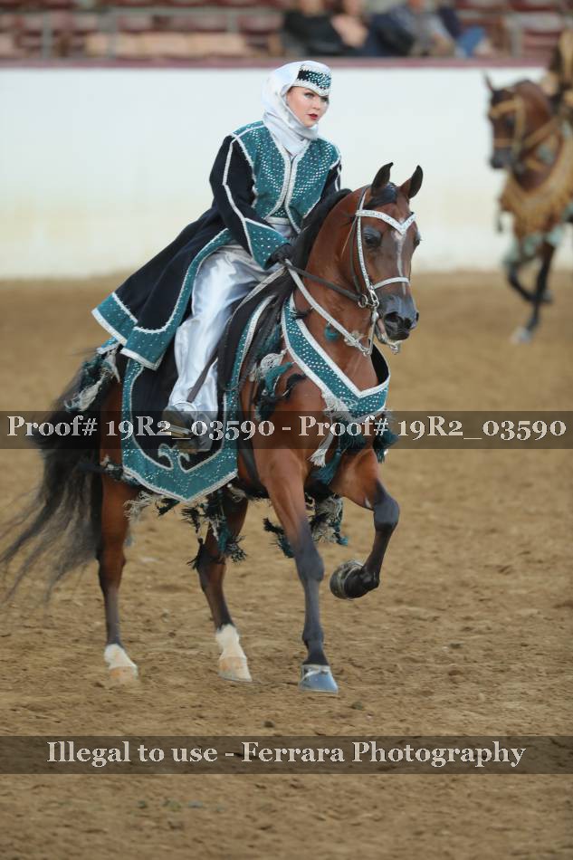 Proof 19R2_03590