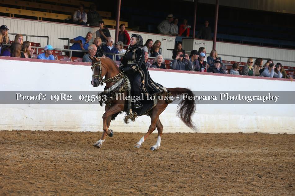 Proof 19R2_03593