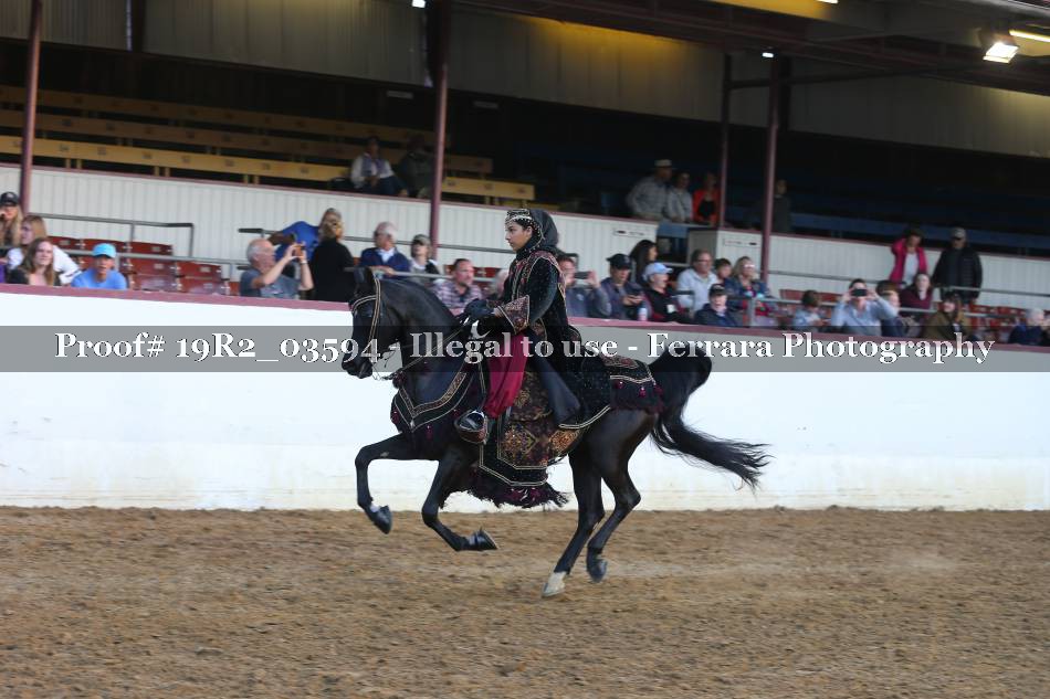 Proof 19R2_03594