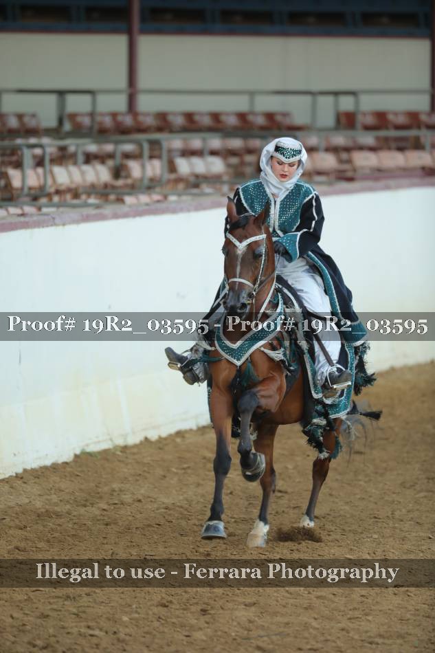 Proof 19R2_03595