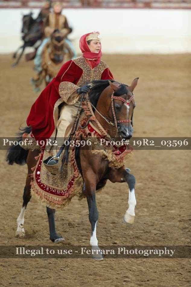 Proof 19R2_03596