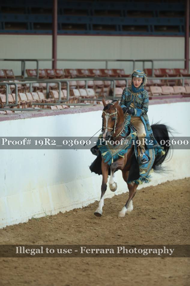 Proof 19R2_03600