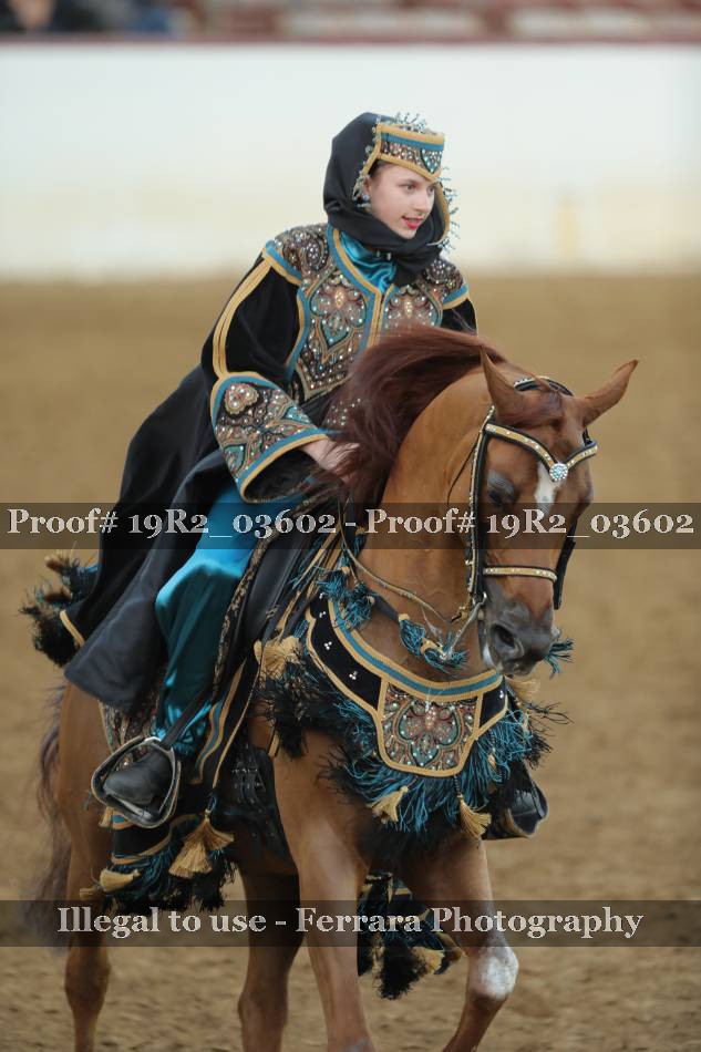 Proof 19R2_03602