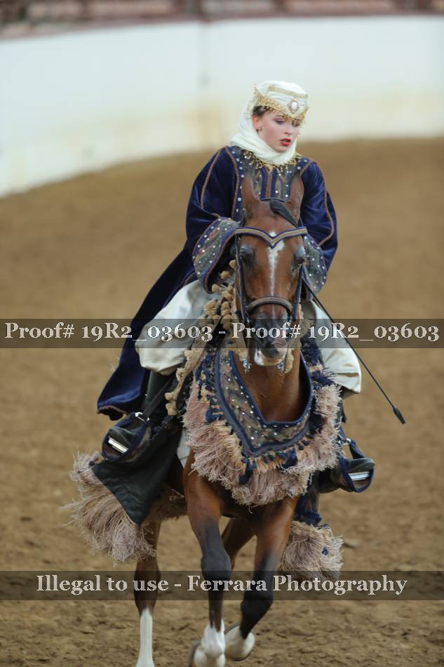 Proof 19R2_03603
