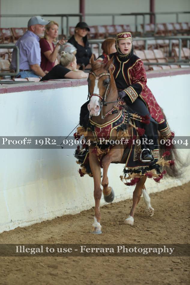 Proof 19R2_03604