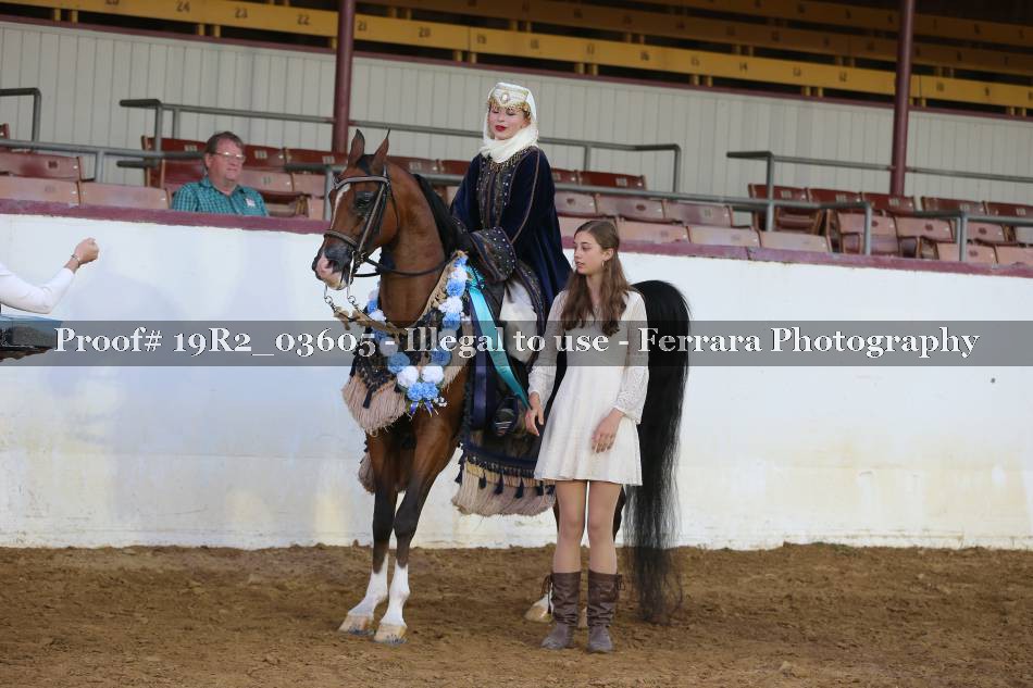 Proof 19R2_03605
