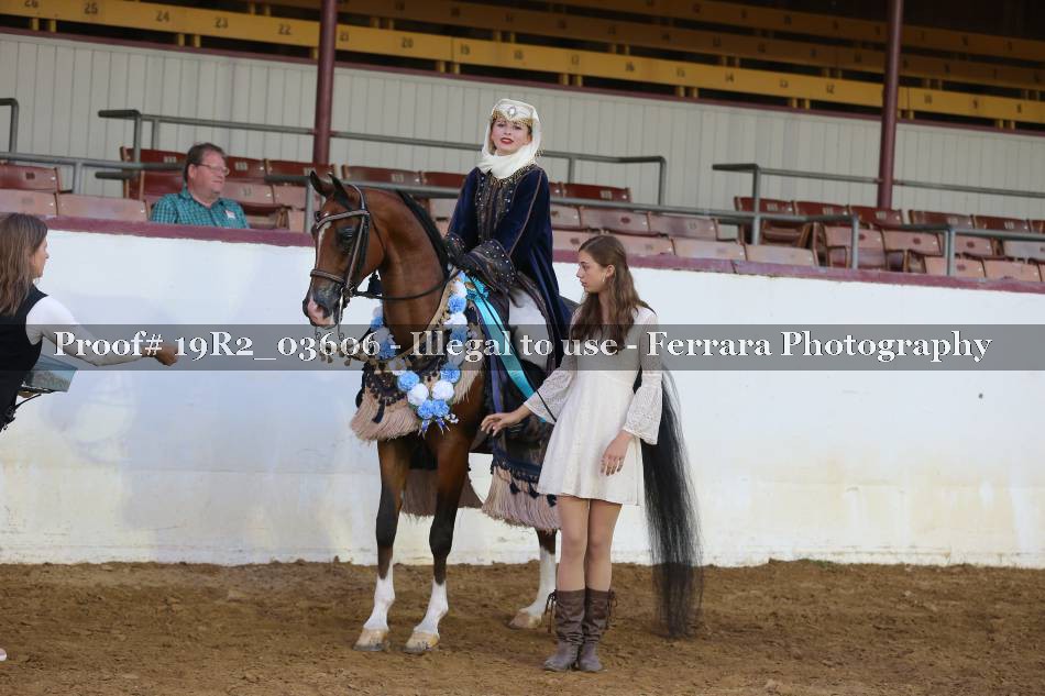 Proof 19R2_03606