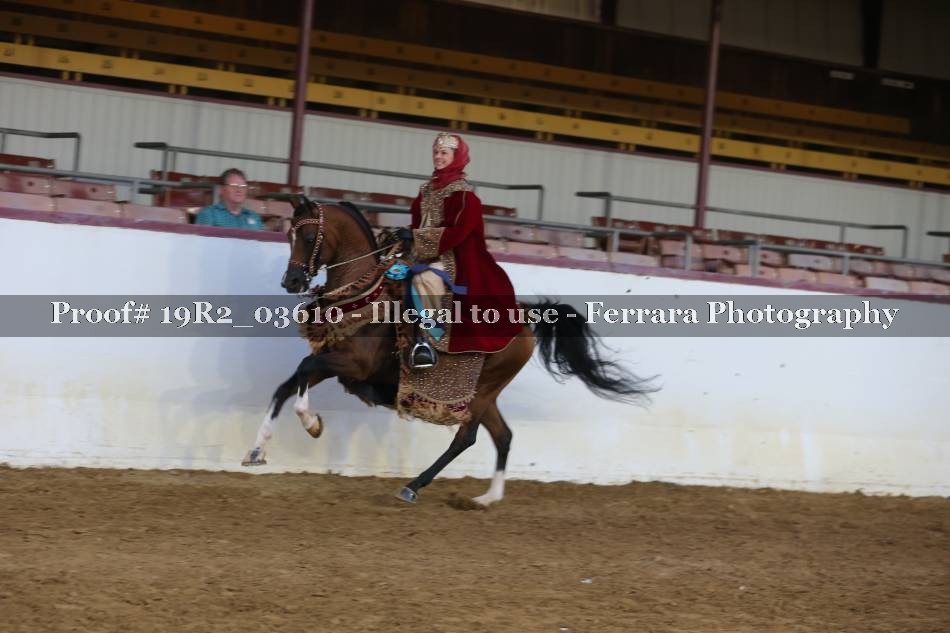 Proof 19R2_03610