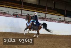 19R2_03613 proof