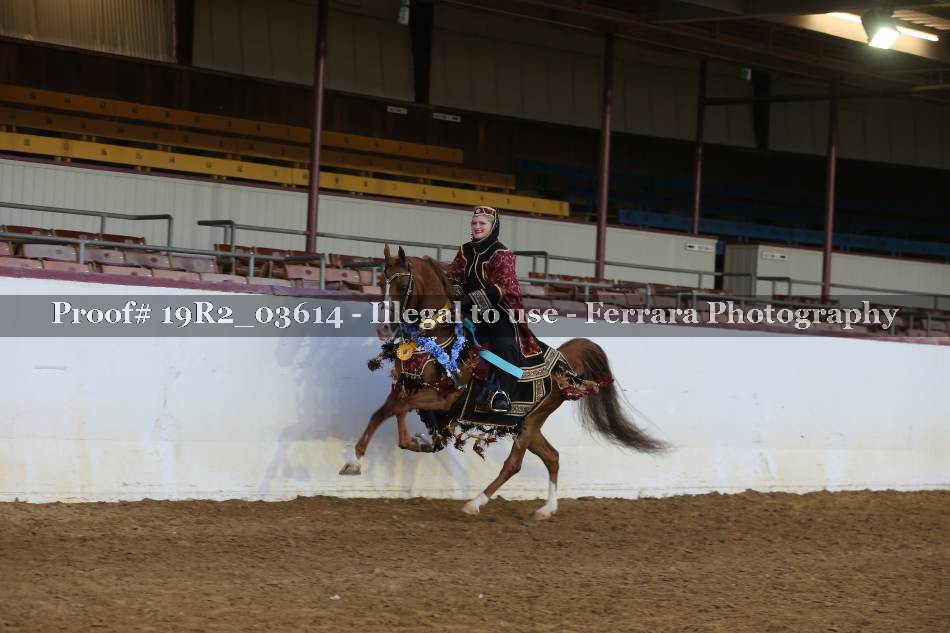 Proof 19R2_03614