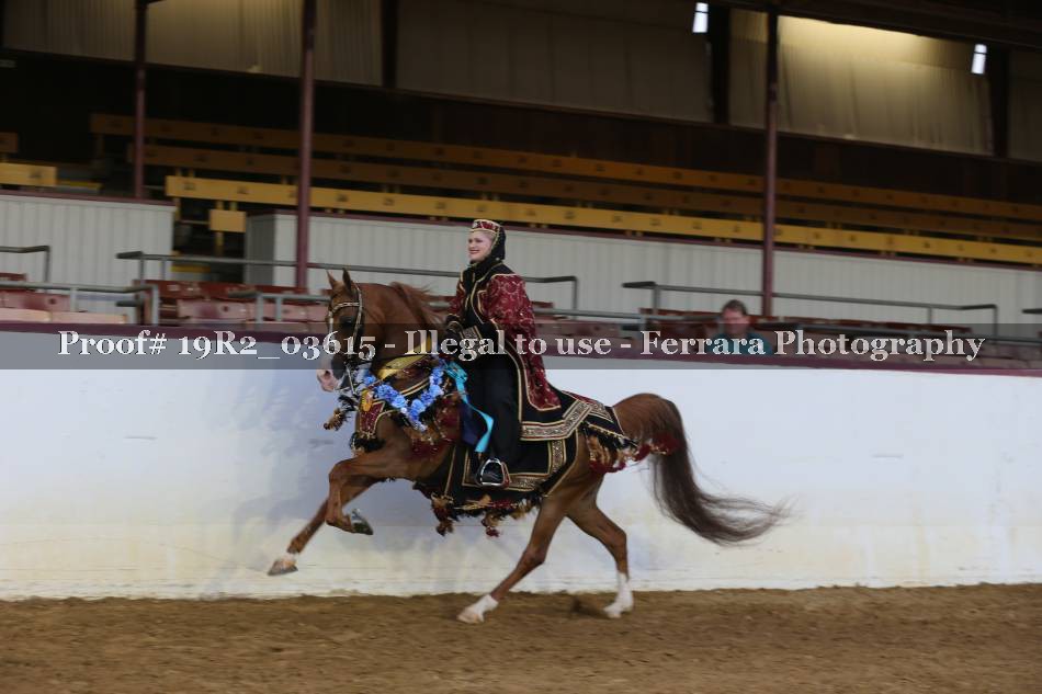 Proof 19R2_03615